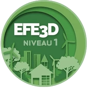 Home 12 Logo EFE3D